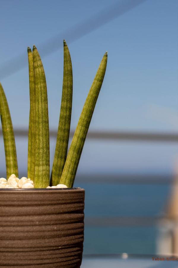 Tabak Home Sea Side Apartment Chania  ภายนอก รูปภาพ